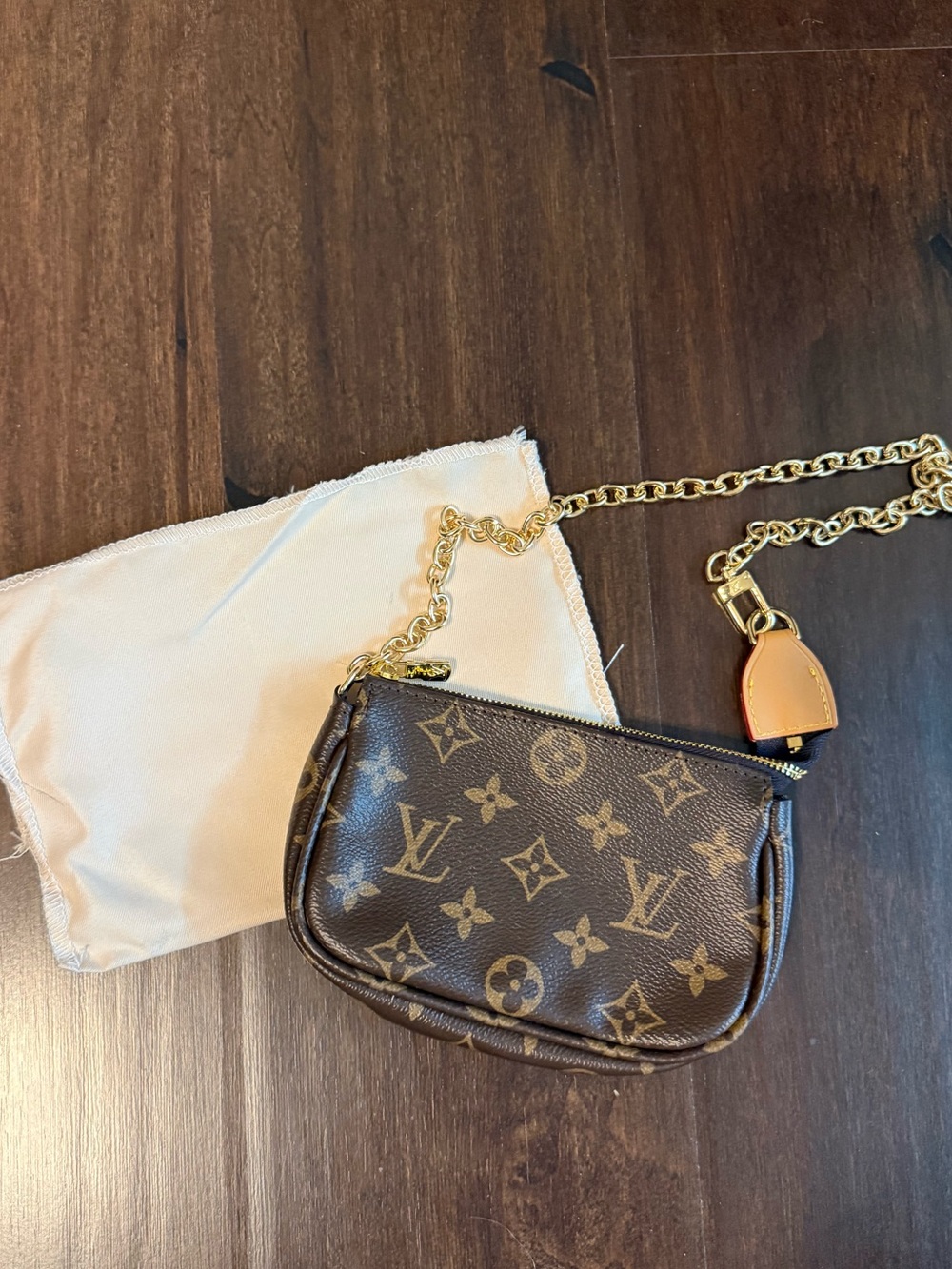 Unbranded Mini Pochette with Gold Chain